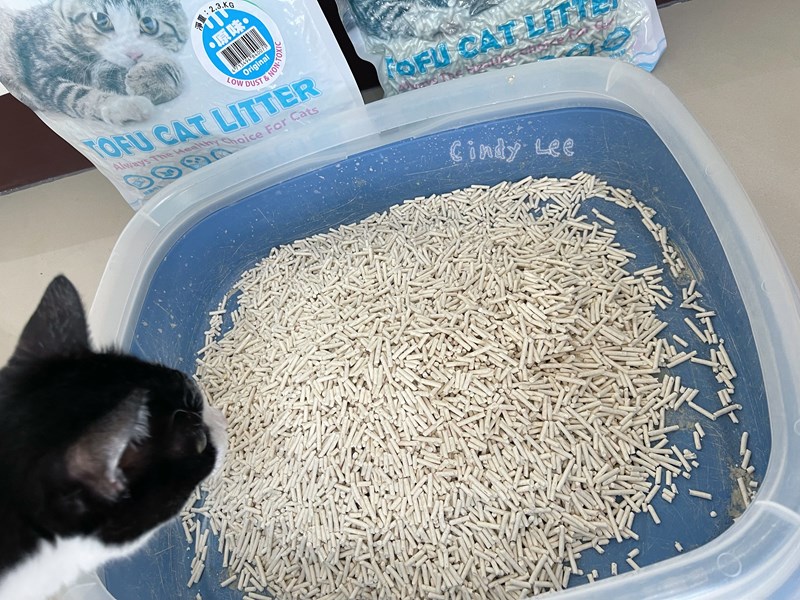 女人知己試用大隊,口碑行銷,部落客行銷,PurreLand 倍淨豆腐貓砂,好市多購買,COSTCO購買,豆腐貓砂,PurreLand倍淨,低粉塵,易清理,可沖馬桶,提供絕佳的除臭與凝結力,豆腐貓砂評價,貓砂評價,使用心得,貓砂分享,好用,原味,綠茶,豆腐砂,水量需完全覆蓋貓砂,水量需貓砂的2~3倍以上,豆腐砂評價,高CP值,划算